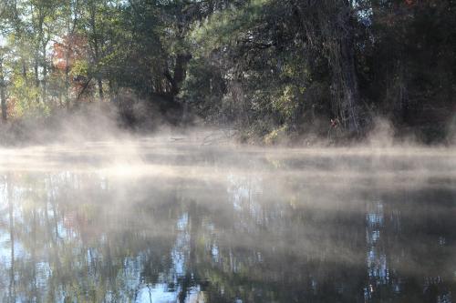 misty rays